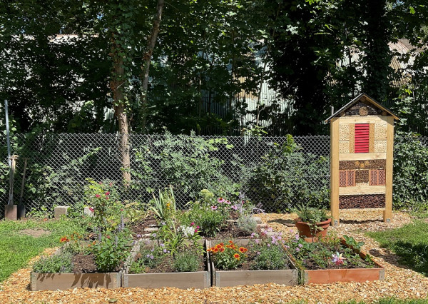 Nationwide planting competition “Germany hums” - participation of the City bees in the daycare center Sternschnuppe of the Studierendenwerk Karlsruhe