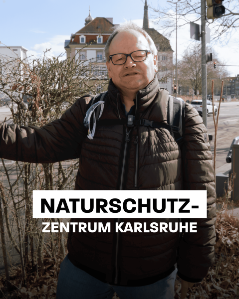 Ausflug ins Naturschutzzentrum Karlsruhe- Rappenwört am Rhein, mit Führung | 23. Mai 2025