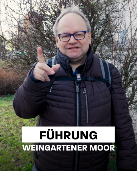 Führung durch das Weingartener Moor (englisch) am 31. Mai 2025